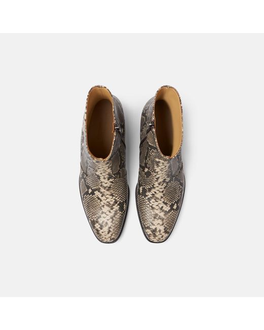 Scarosso Brown Warren Python for men