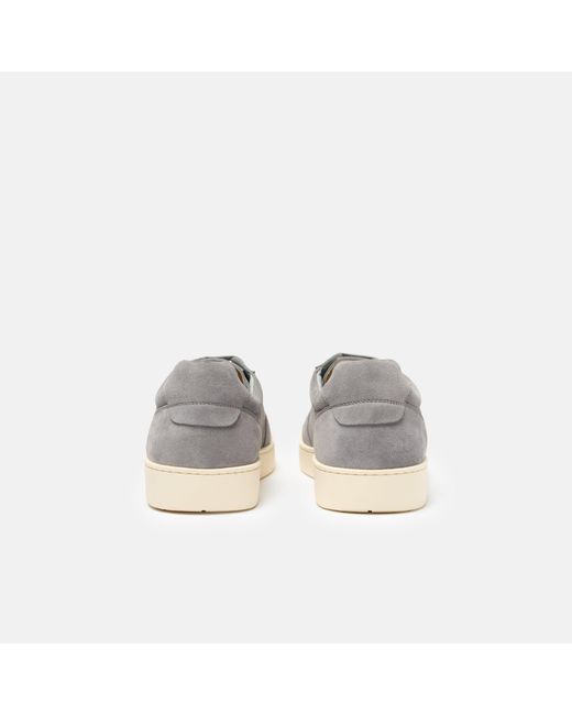 Scarosso Gray Agostino Suede for men