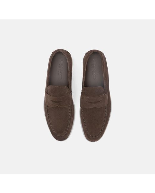 Scarosso Brown Luciano Suede for men