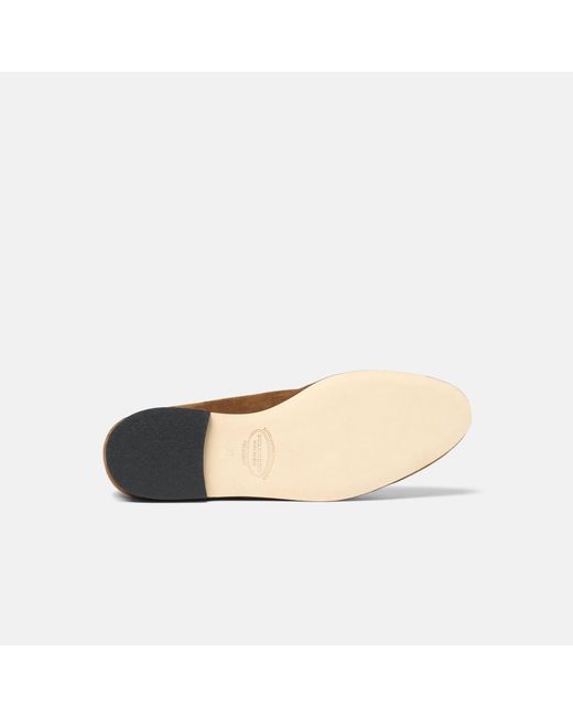 Scarosso Brown Luisa Chocolate Suede