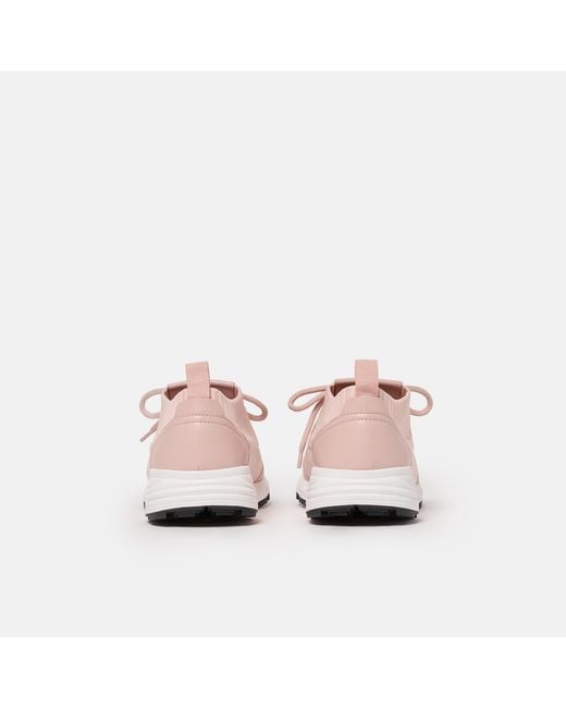 Scarosso Pink Robin