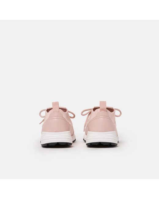 Scarosso Pink Robin Rosa