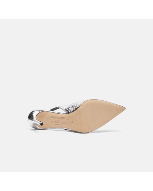 Scarosso White Sutton Elaphe