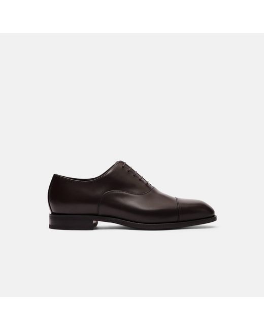Scarosso Black Salvatore Brown Oxfords for men