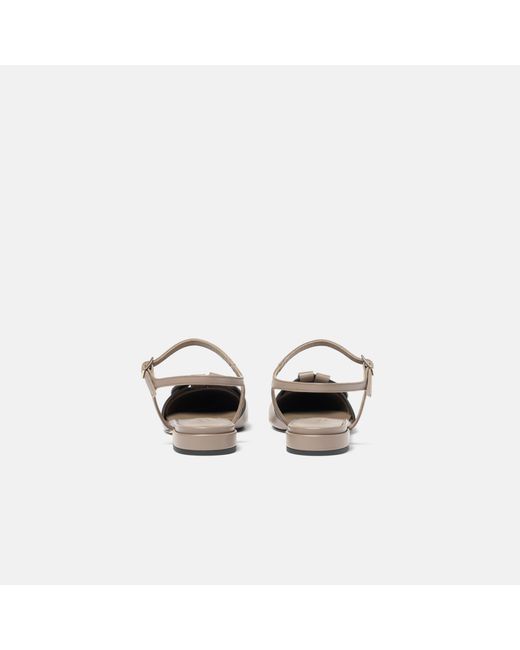 Scarosso Multicolor Amanda Taupe