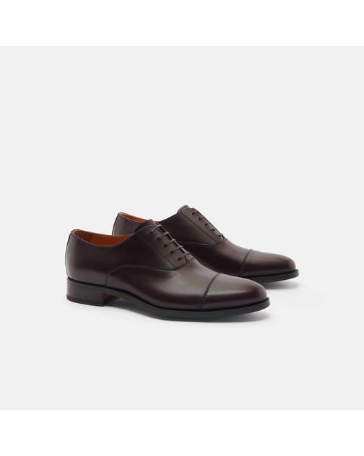 Scarosso Black Giove Marrone for men