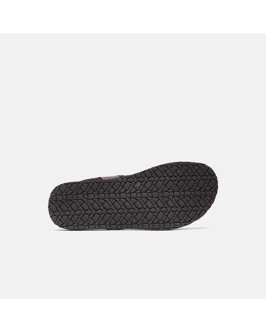 Scarosso Black Massimo Brown Sandals for men