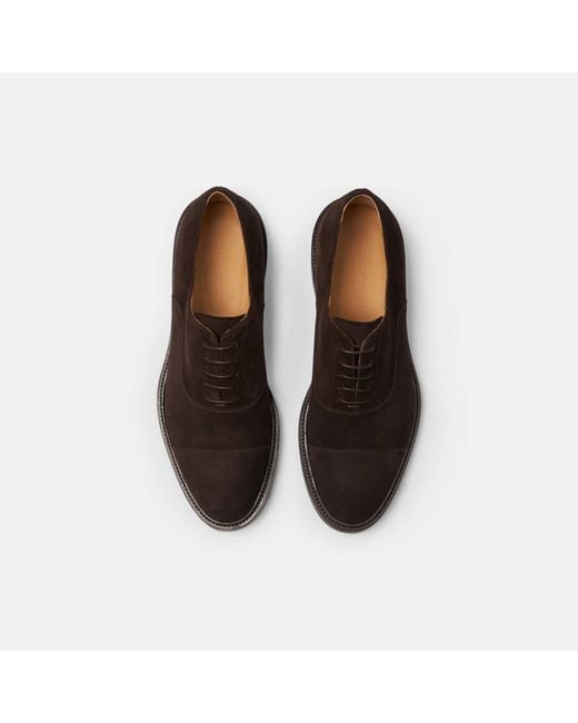 Scarosso Brown Jacob for men