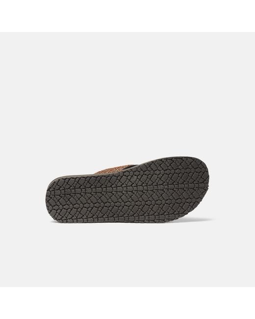 Scarosso Brown Sliders for men