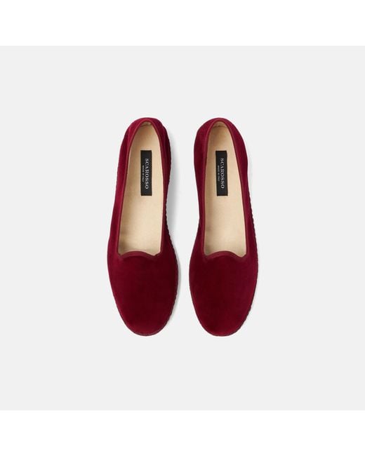 Scarosso Multicolor Bordeaux Velluto for men