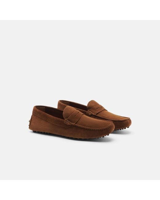 Scarosso Brown Michael Cigar Suede Driving Shoes for men