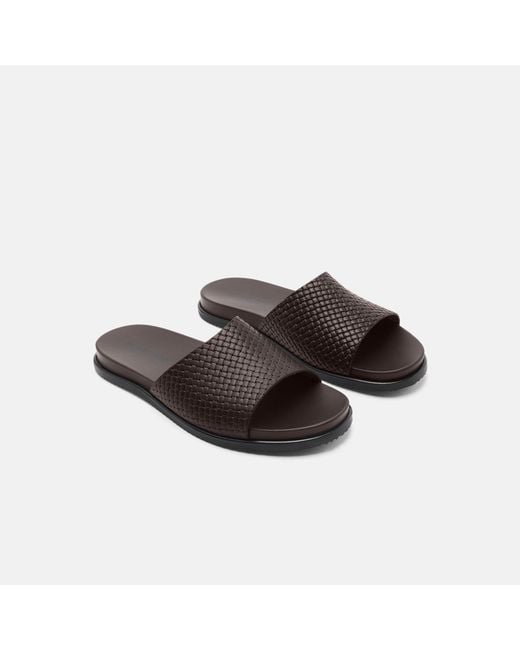 Scarosso Brown Tito Moro for men