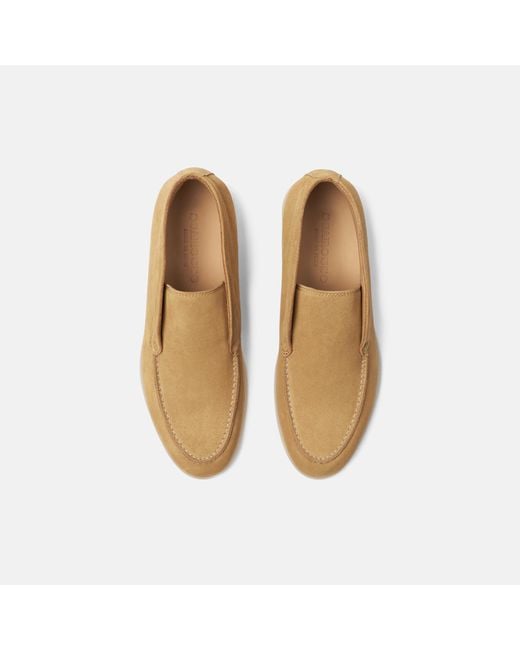 Scarosso Natural Leonarda Suede