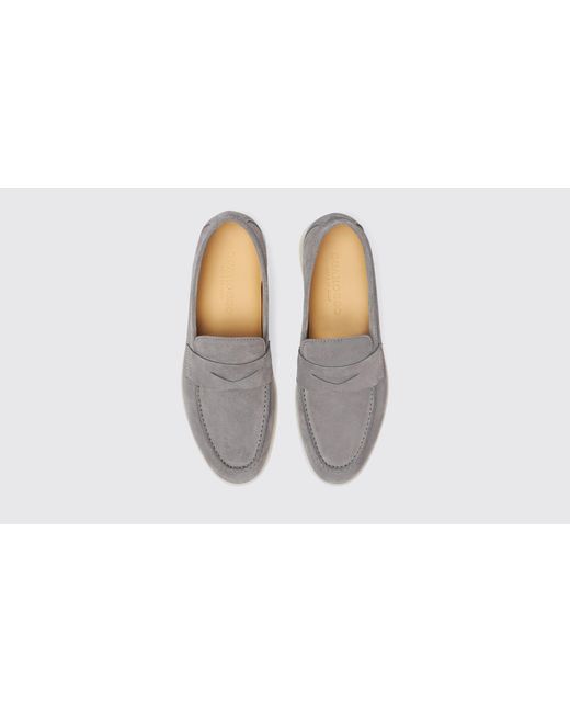 Scarosso Black Luciana Grey Suede Loafers