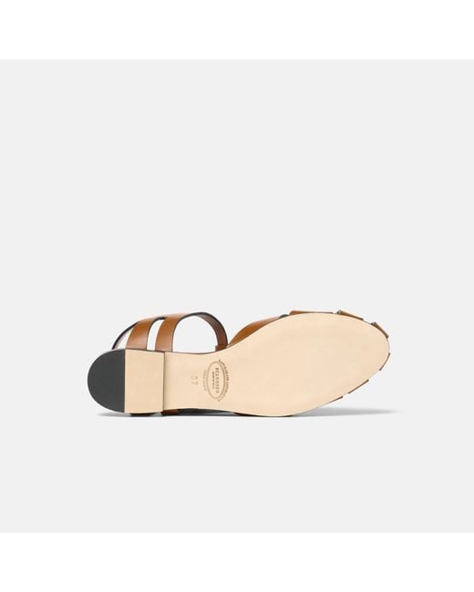 Scarosso Brown Gala Cuir