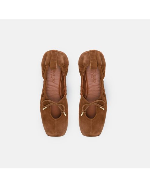 Scarosso Black Margot Tan Suede Loafers & Flats