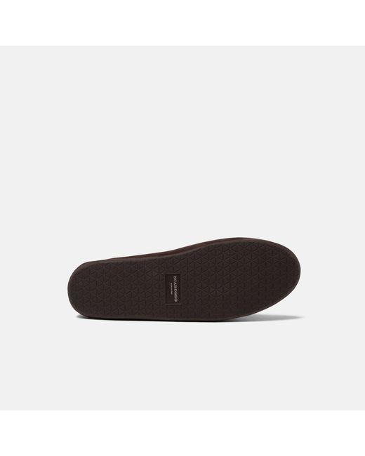 Scarosso Brown Anais Suede
