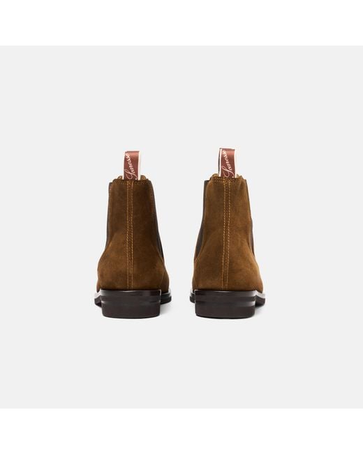 Scarosso Brown Edgar Suede for men