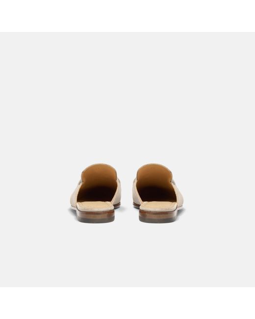 Scarosso White Serena Sand Suede
