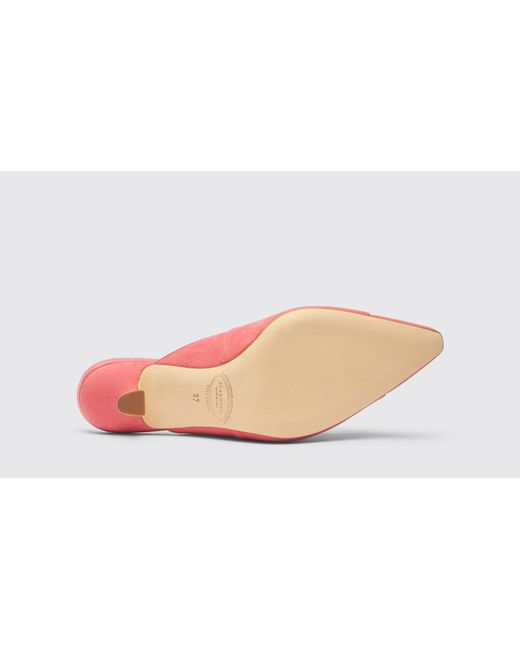 Scarosso Red Liz Pink Suede Mules