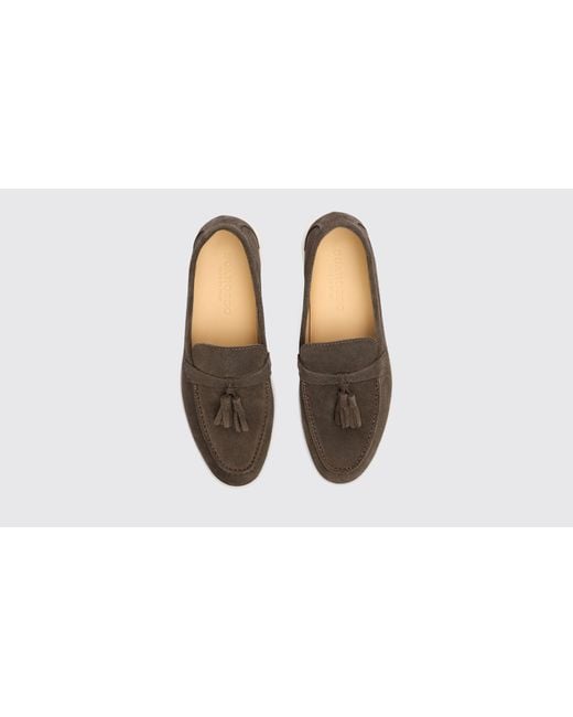 Scarosso Black Leandra Deep Taupe Suede Loafers
