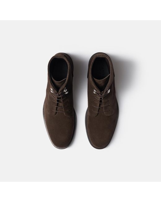 Scarosso Brown Eva Dark Suede