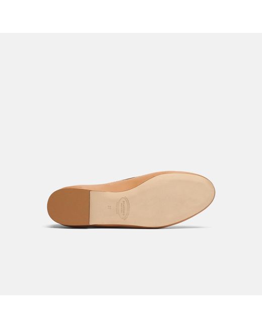 Scarosso Brown Carla Cognac Ballerinas