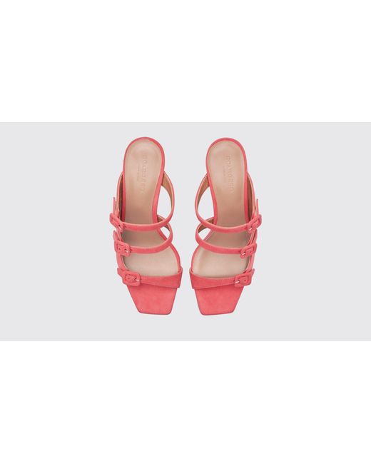 Scarosso Black Manuela Pink Suede Sandals