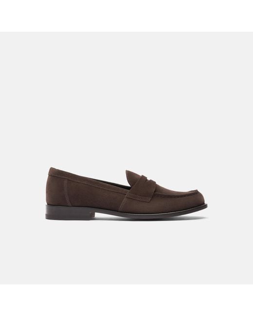 Scarosso Brown Harper Suede
