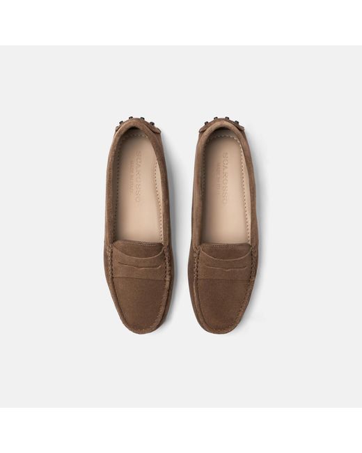 Scarosso Brown Ashley Taupe Suede Driving Shoes