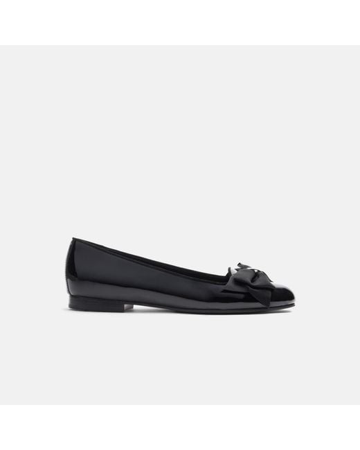 Scarosso Black Cloe Nera