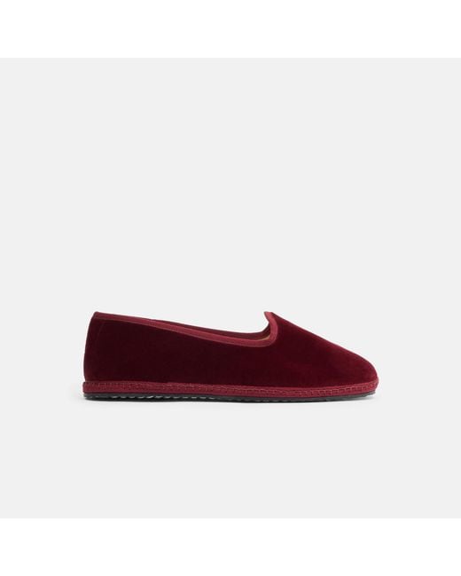 Scarosso Multicolor Valentina Bordeaux Velluto