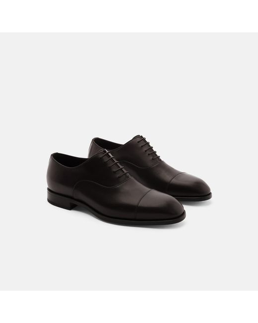 Scarosso Black Salvatore Brown Oxfords for men