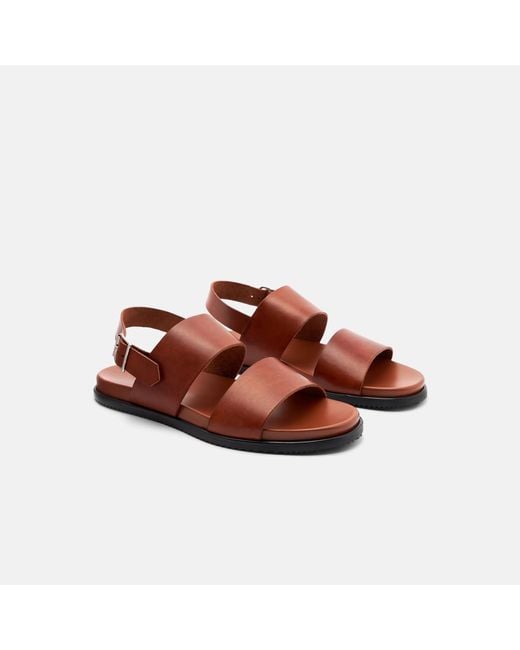 Scarosso Multicolor Antonio Cognac Sandals for men