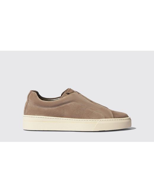 Scarosso Black Luca Taupe Suede Sneakers for men