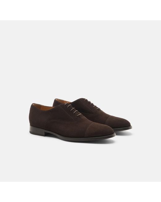 Scarosso Brown Cesare Moro Scamosciato for men