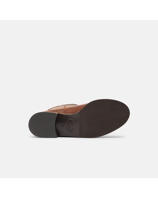 Scarosso Brown Tess Cognac