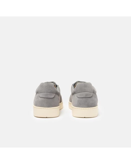 Scarosso Gray Agostino Suede for men