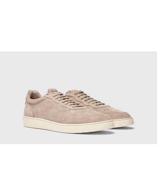 Scarosso Black Agostino Taupe Suede Sneakers for men