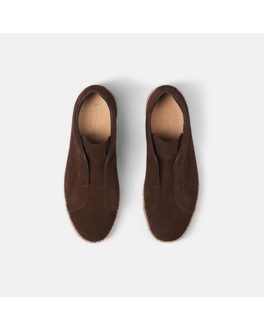 Scarosso Brown Thiago Suede for men