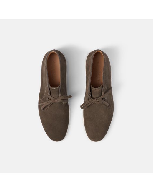 Davide Deep Taupe Scamosciato di Scarosso in Brown da Uomo