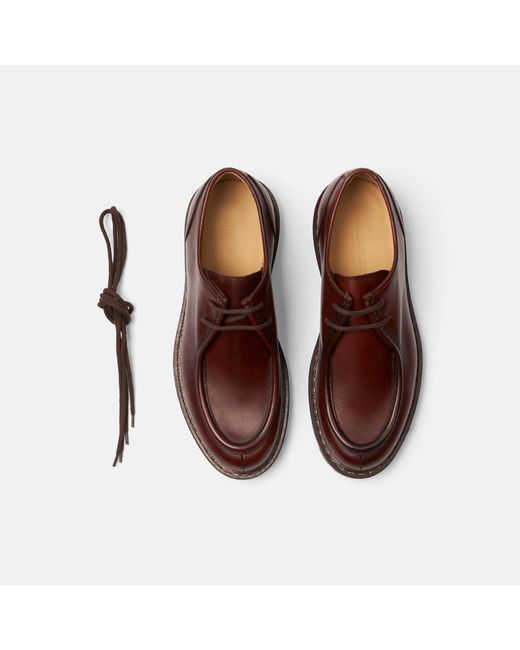Scarosso Brown Damiano Burgundy Derbies for men