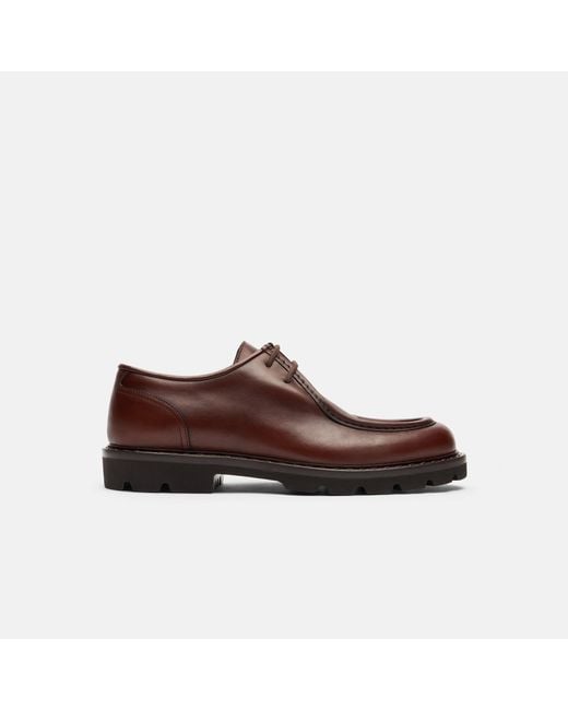 Scarosso Brown Damiano Burgundy Derbies for men