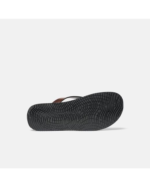 Scarosso Brown Ascanio Edit for men