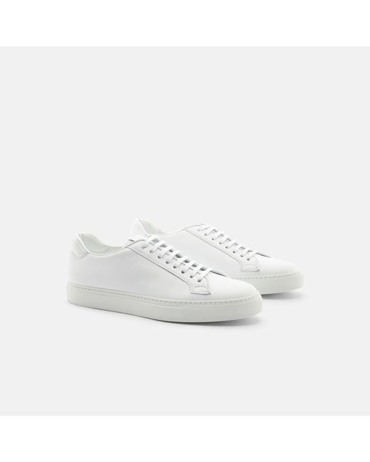 Scarosso White Ugo Bianco Sneakers for men