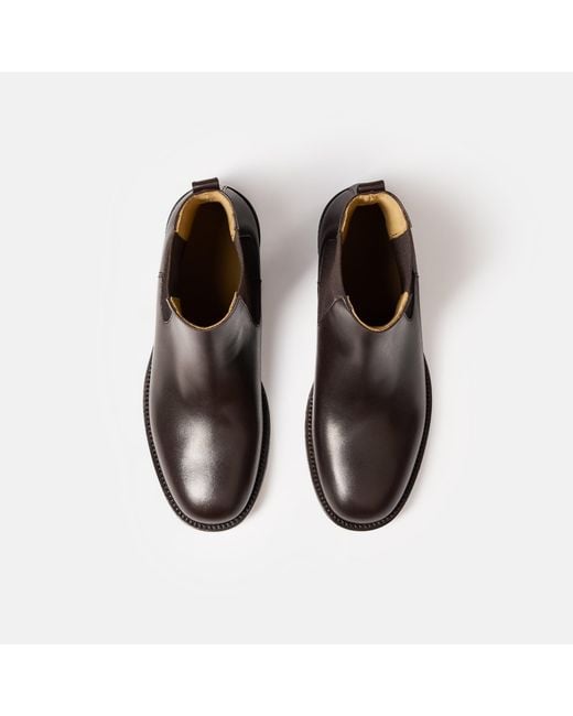 Scarosso Brown Elliot Dark for men