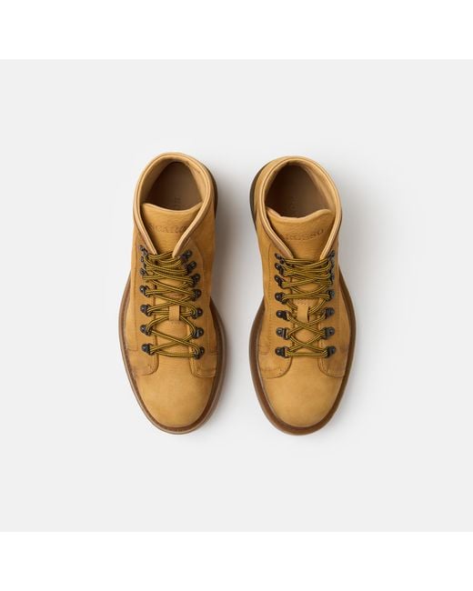 Scarosso Brown Gino Nubuck for men