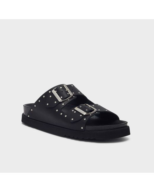 Beatriz di Scholl in Black