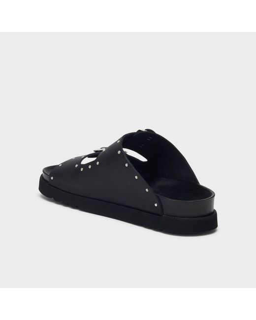 Beatriz di Scholl in Black