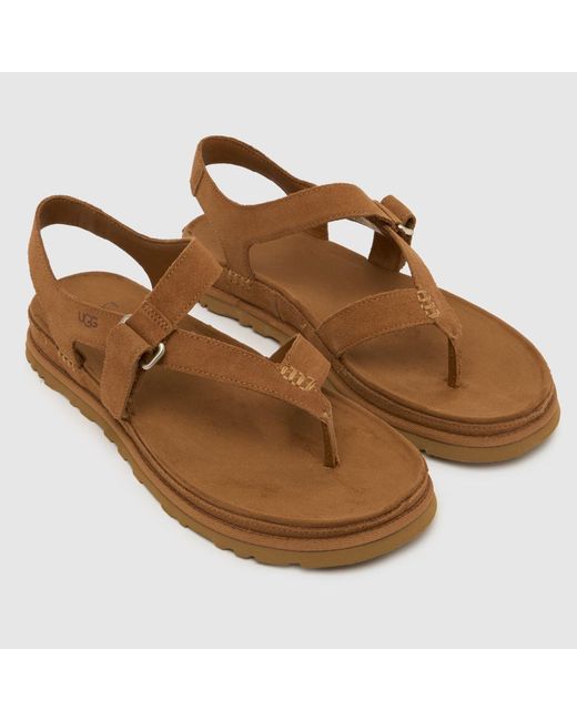 Ugg Brown Goldengaze Toe Post Sandals